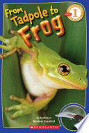 Compra From Tadpole To Frog en click.gt