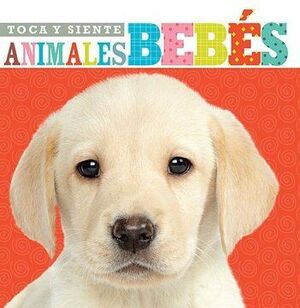 Compra Toca Y Siente Animales Bebes en click.gt