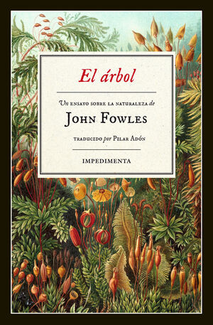 Compra El Arbol en click.gt