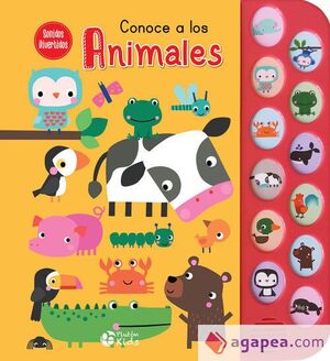 Sonidos Divertidos: Conoce A Los Animales. Zerobols.com, Tu tienda en línea de libros en Guatemala.