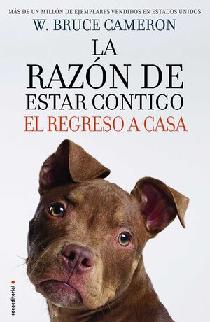 Portada del libro LA RAZON DE ESTAR CONTIGO 3-  EL REGRESO A CASA - Compralo en Aristotelez.com