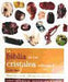 Portada del libro LA BIBLIA DE LOS CRISTALES. VOLUMEN 2 (NUEVA EDICIÓN) - Compralo en Aristotelez.com