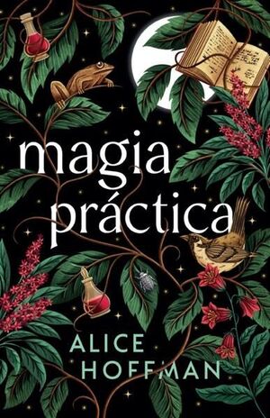 Compra Magia Practica en click.gt