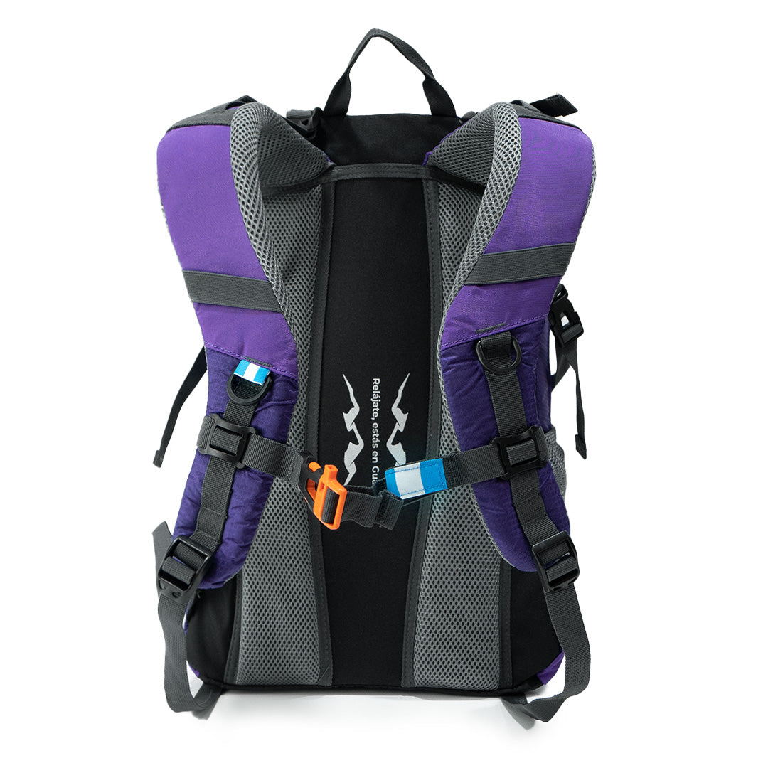 Compra Chompipe 35 Morada + Linterna LED Fuego1 en click.gt