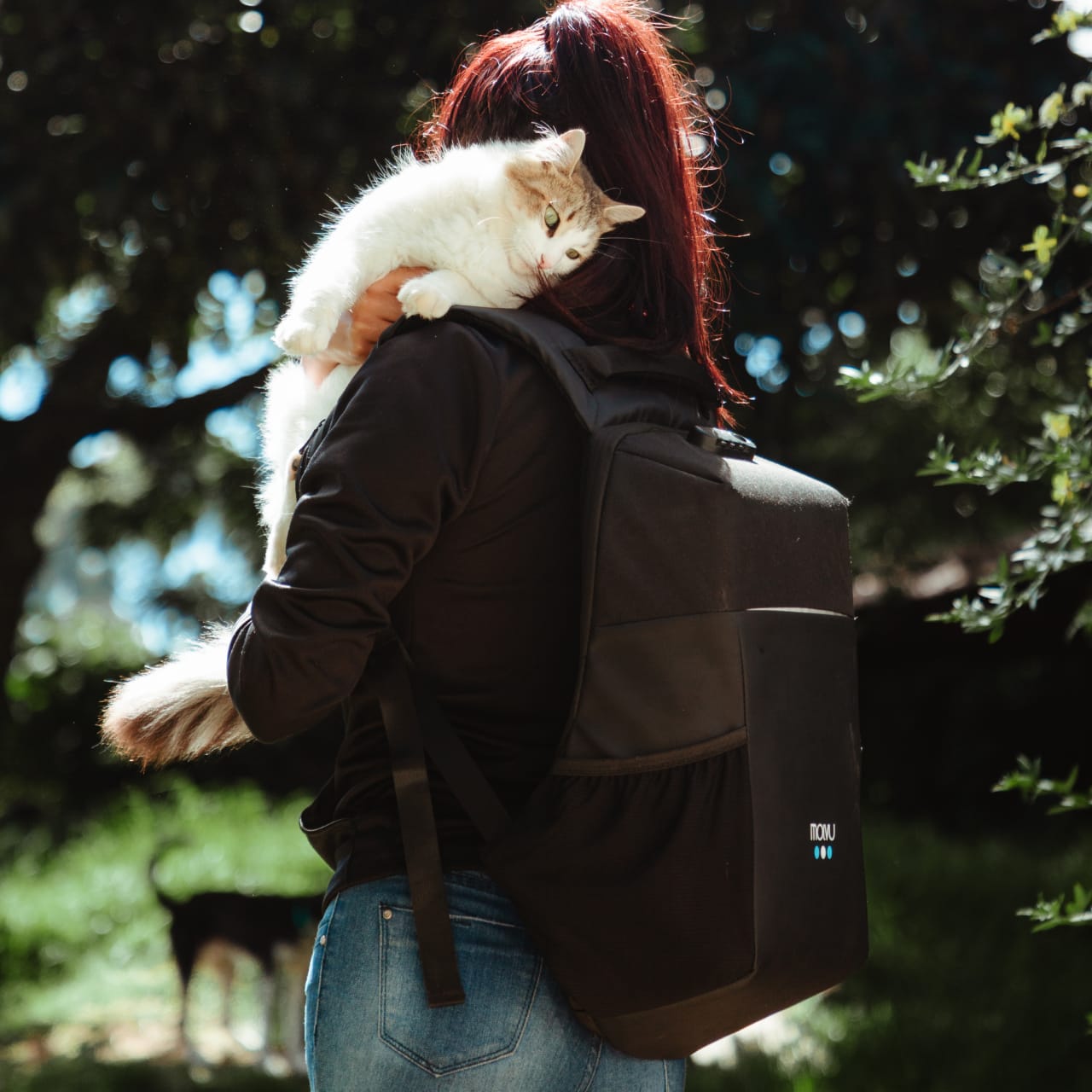 Compra Go Black en click.gt