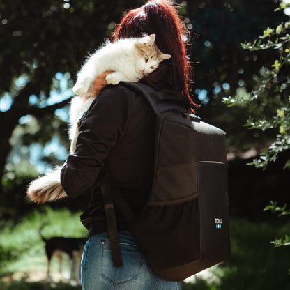 Compra Go Black en click.gt