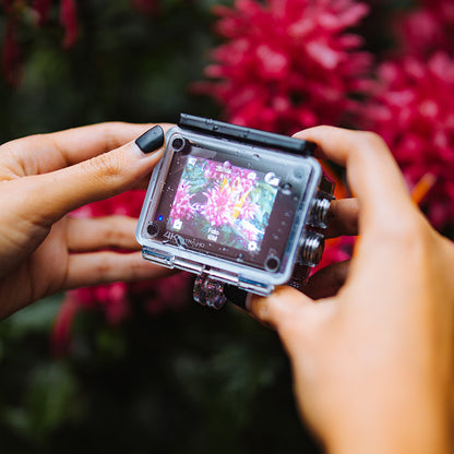 Cámara M5 Negro - Compralo en Aristotelez.com