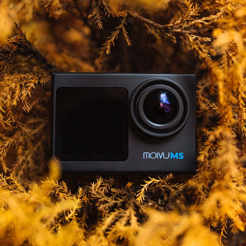 Cámara M5 Negro - Compralo en Aristotelez.com