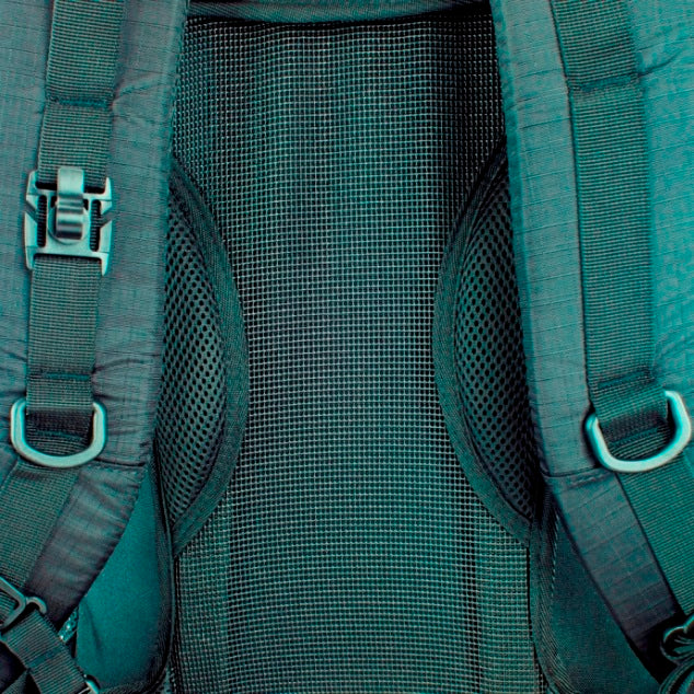 Chompipe 50 Negra - Compralo en Aristotelez.com