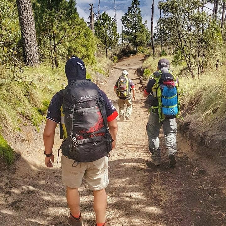 Chompipe 50 Negra - Compralo en Aristotelez.com