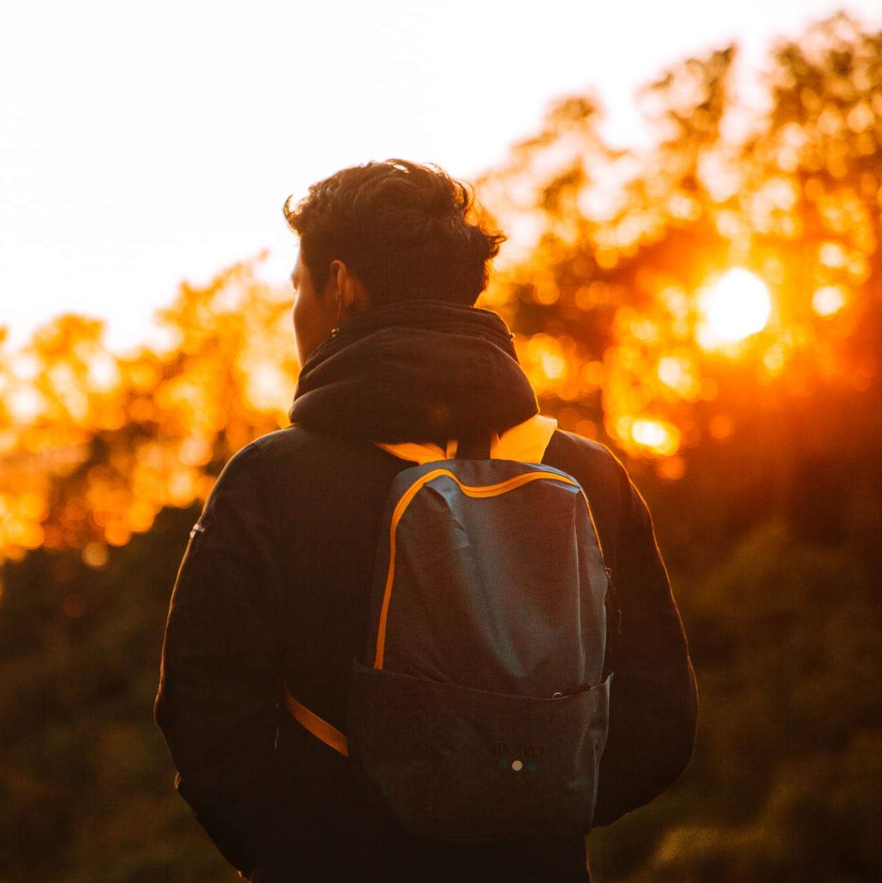 Tolimán Azul - Compralo en Aristotelez.com