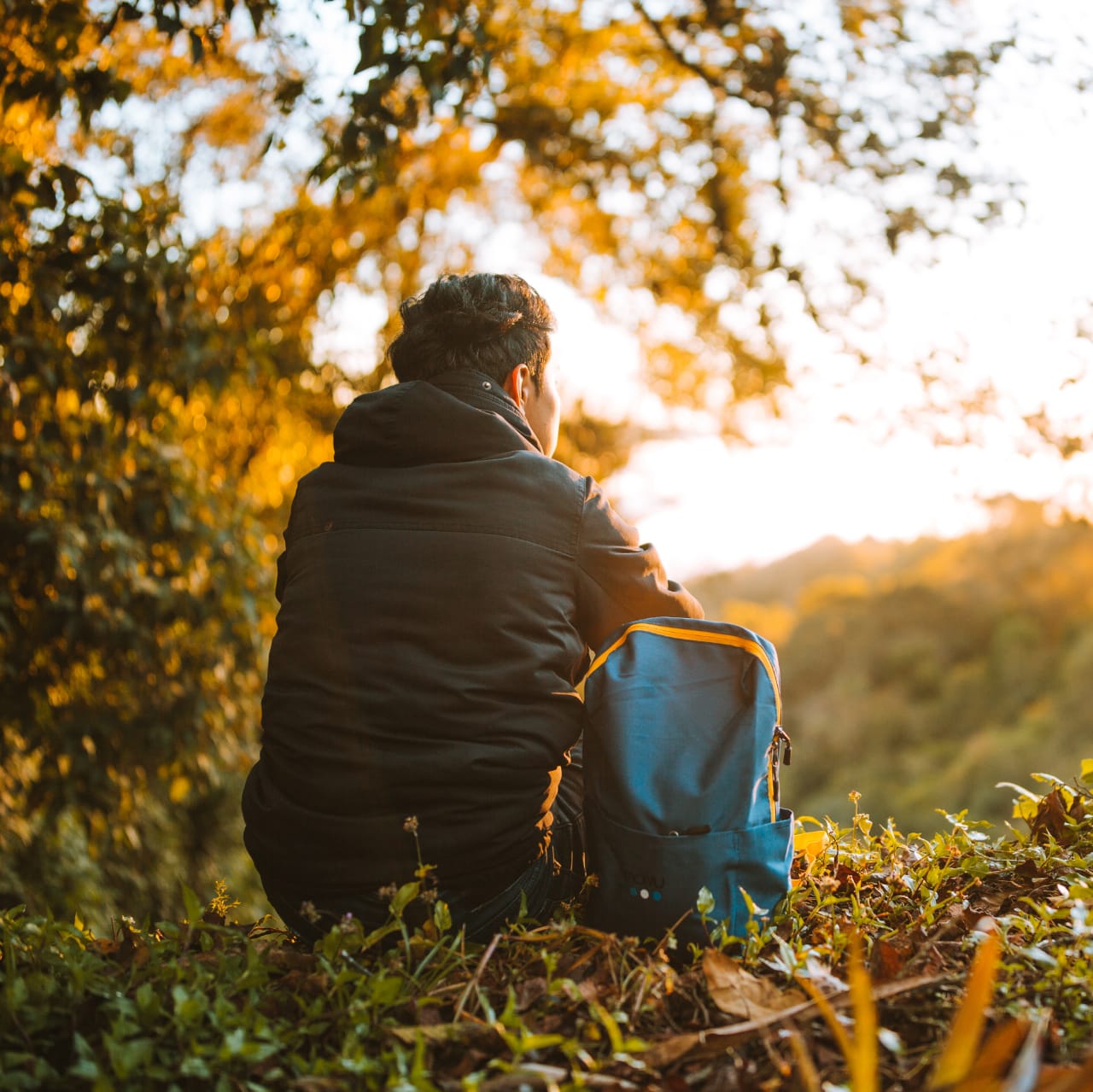 Tolimán Azul - Compralo en Aristotelez.com