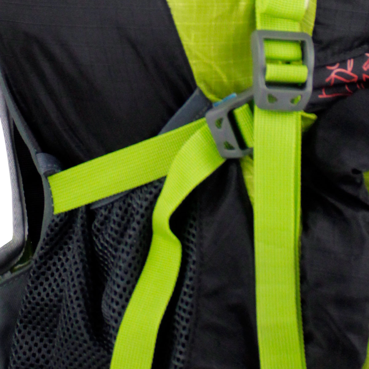Compra Chompipe 50 Verde en click.gt